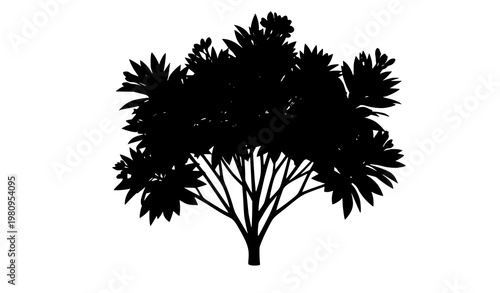 Green flowering bush vector ornamental plant isolated on white for landscape design