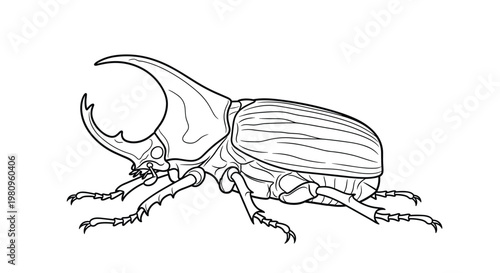 Detailed black and white line art illustration of a rhinoceros beetle from a side profile showing its large horns.
