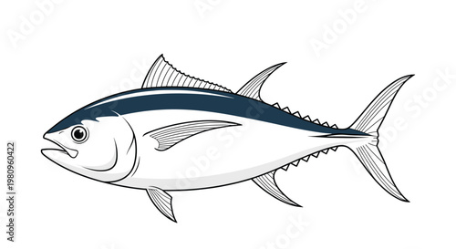 Scientific illustration of a tuna fish showcasing its sleek body and fins with a dark stripe along its silver scales.