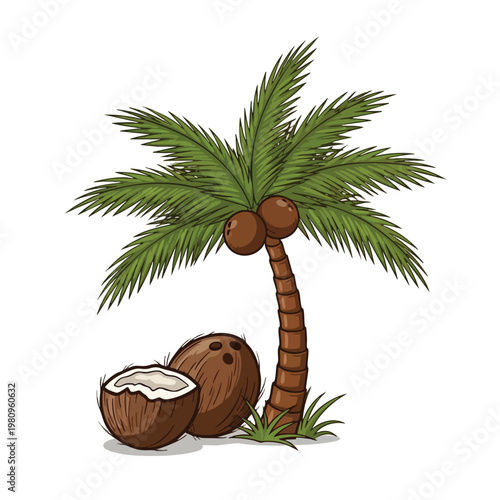Tropical Coconut Tree with Fresh Coconuts in a Summery Setting