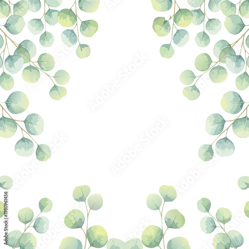 Fresh Green Eucalyptus Leaves Frame for Nature or Wellness Themes