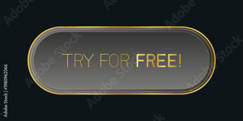 Modern call-to-action button with the text "Try For Free", designed for websites and mobile applications. Clean and minimal UI element encouraging users to start a free trial, perfect for marketing.