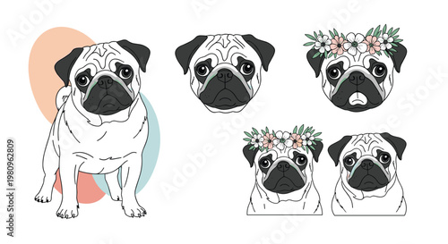 Collection of pug dog illustrations featuring a full body standing pose, close up headshots, and heads adorned with colorful flower crowns.