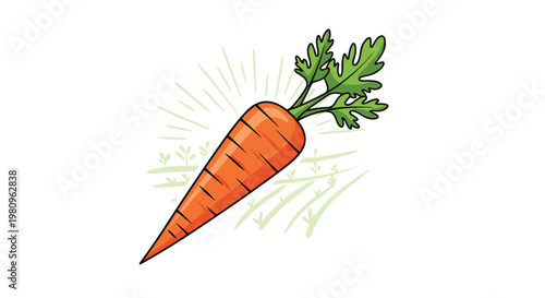 Healthy orange carrot with green leafy tops shown growing in a sunlit field with rows of plants for food and gardening concepts.