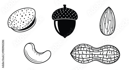 Black and white icons of various nuts including an acorn, almond, peanut, cashew, and a macadamia nut for food designs.