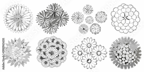 Overhead view of various stylized flower arrangements in grayscale