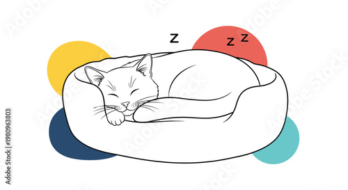 Minimalist line art depicts a cat curled up and sleeping peacefully in a soft bed surrounded by abstract yellow, red, and blue circles.