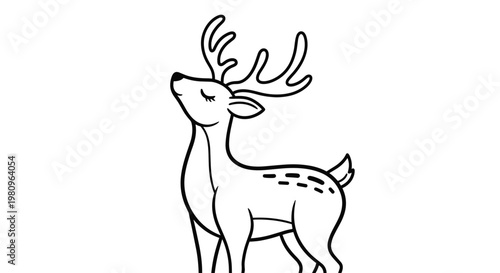 Graceful deer standing in a natural pose with spots on its back and slender legs for wildlife illustration and coloring page.
