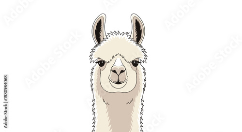 Close up front view portrait of a fluffy alpaca with large ears and a gentle expression for animal lover art and decor.