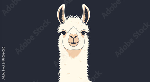 Detailed front view portrait of a fluffy llama with large ears against a dark navy blue background for a modern artistic look.