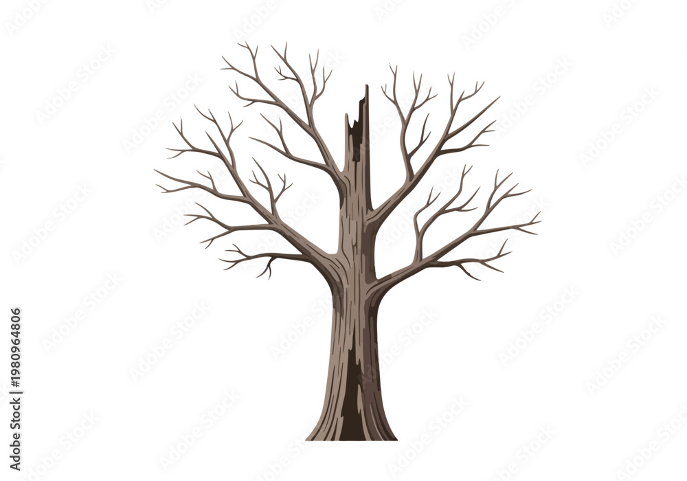 Obraz premium A solitary bare tree with a broken trunk stands tall.
