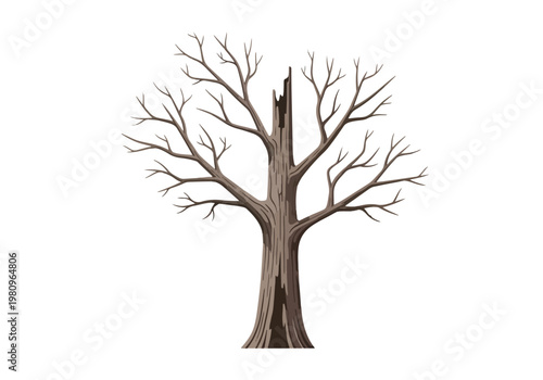 A solitary bare tree with a broken trunk stands tall.