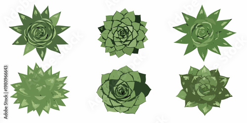 Six geometric succulent arrangements in varying shades of green