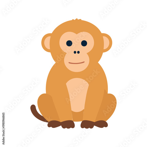 Cute monkey with big eyes sitting down and looking directly at the viewer