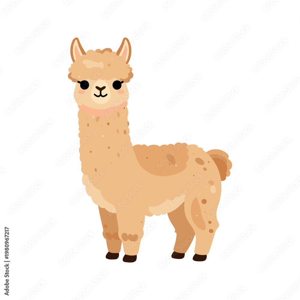 Fototapeta premium Cute light brown llama with a fluffy tail stands on a white background