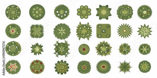 An aerial view collection of diverse stylized green trees and shrubs