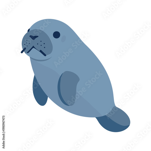 Cute manatee swimming with its flippers in the ocean, isolated on white