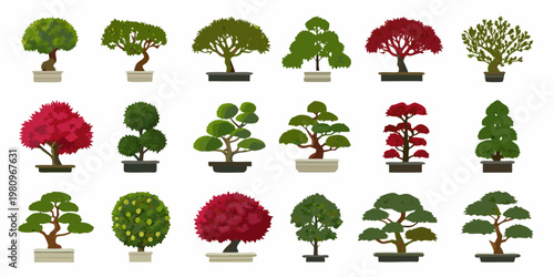 Collection of potted trees in various shapes and autumnal colors