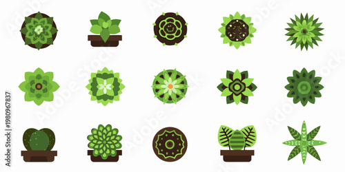 Collection of stylized green succulent plants in a flat design