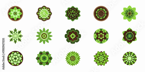 Collection of vibrant top down illustrations of various succulent plants