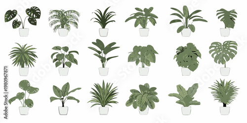A collection of various potted houseplants arranged in a grid pattern