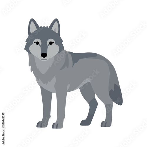 Flat vector illustration of a gray wolf with a bushy tail standing alert