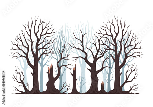 Dark Forest Silhouette Majestic Bare Trees.