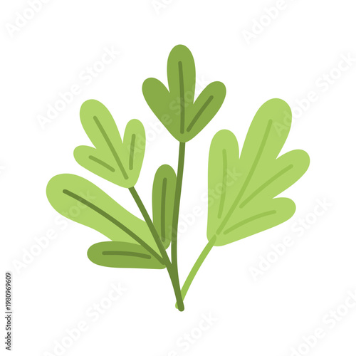 Stylized parsley branch adds a touch of greenery to designs and evokes freshness