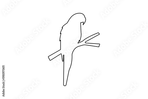 Minimalist parrot bird one line art drawing isolated on white background vector illustration