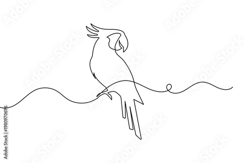 Minimalist parrot bird one line art drawing isolated on white background vector illustration