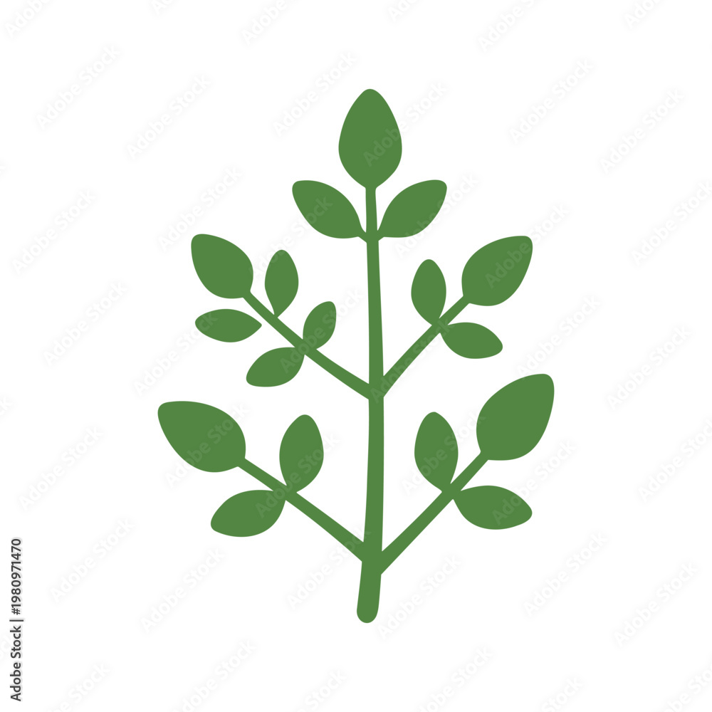 Obraz premium Illustration shows a single branch with leaves; the graphic is isolated on a white background and uses a flat, simple design.