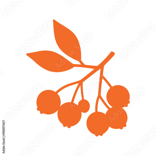 A simple silhouette of a rowan branch is depicted with leaves and berries, which are all solid orange in a flat design.