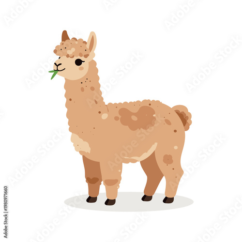 Illustrated llama chews on a piece of greenery, and it features neutral browns and tans in a simplistic art style.