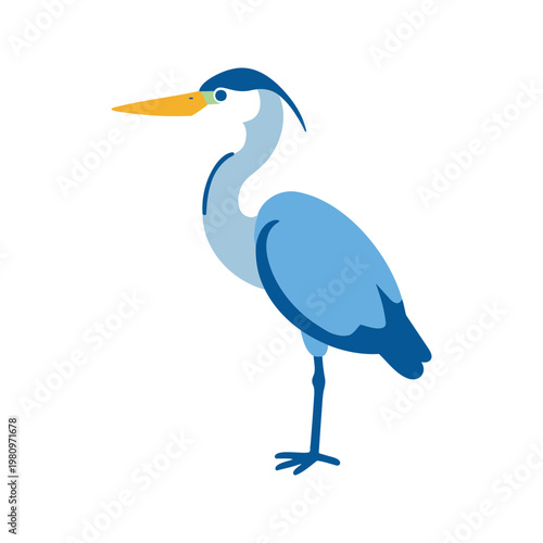 This vector illustration shows a blue heron with a long beak standing on one leg, which is a common posture for conserving energy.