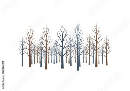 A collection of bare trees in a forest setting.