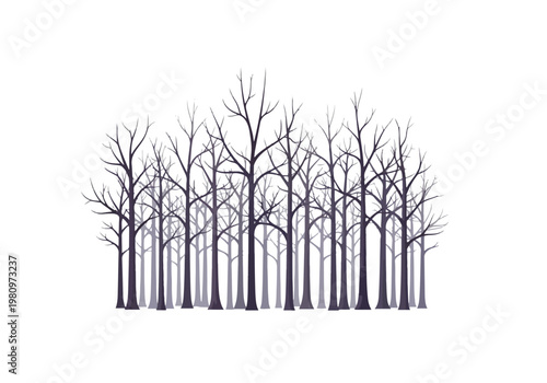 A dense forest of bare trees in winter silhouette.