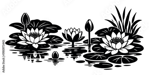 Lotus flowers and buds on water, surrounded by lily pads and reeds, creating a serene, peaceful nature illustration