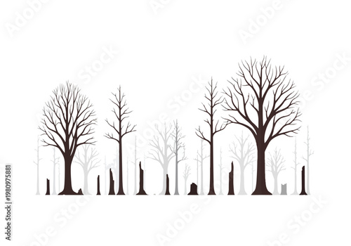 Collection of Bare Trees in Winter Season.