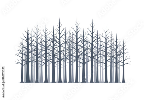 Dense Forest of Bare Winter Trees Silhouette.