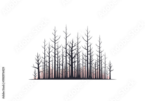 Silhouette of a dense forest with tall bare trees.