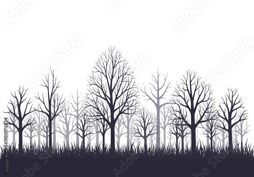 Silhouette of Bare Trees in a Forest Landscape.