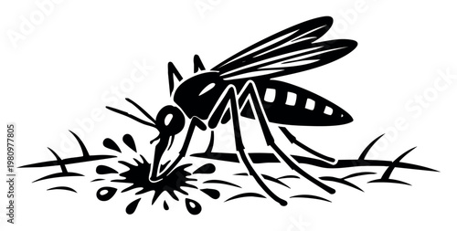 Mosquito is biting human skin, feeding on blood, representing insect-borne disease, global health issues, and pest management