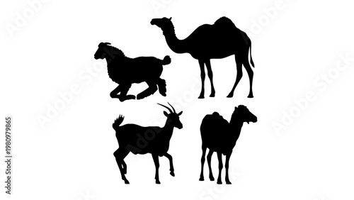 Set of Silhouette camel,cow,goat and sheep, PNG transparent background, 