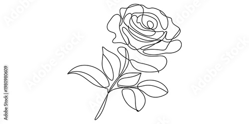 Minimalist continuous line art drawing of a beautiful rose flower with stem and leaves. Vector, illustration