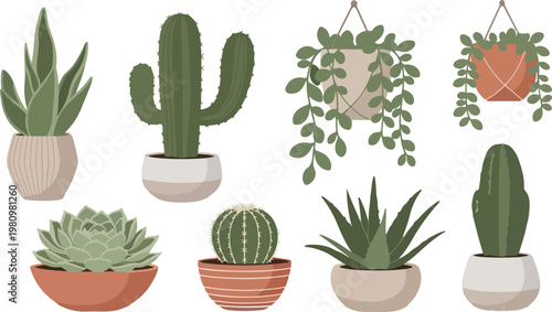 Modern Cactus Succulent Plant Set Minimal Botanical Vector Collection