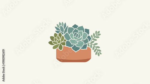 Minimalist Arrangement of Succulent Plants in a Terra Cotta Pot
