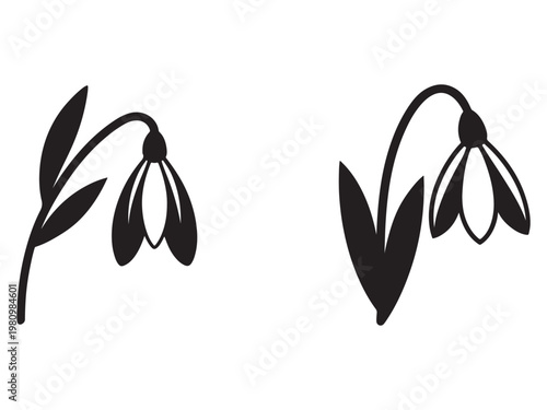 Black silhouettes of snowdrops with leaves on white background  flowers and plants