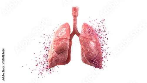 Human lungs inflating and deflating smoothly, oxygen particles entering and spreading, soft glow effect, isolated on white background