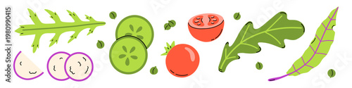 Vector set of fresh salad ingredients with sliced radish, cucumber, tomato, arugula leaves and green pea on white background. Healthy vegan food collection for cooking, nutrition and menu design.