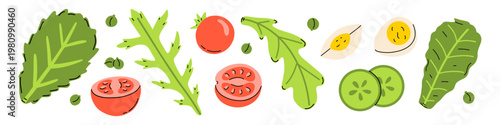 Vector set of fresh salad ingredients with leafy greens, tomato, boiled egg, cucumber slice and green pea. Healthy organic food collection for cooking, nutrition and menu design. Vegetable cliparts.